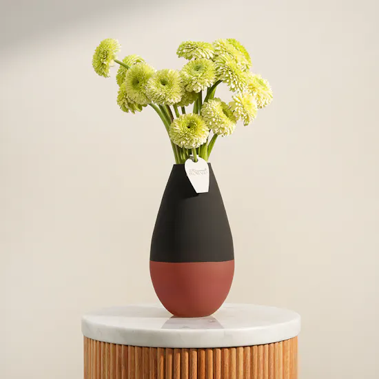 Garden Veil Gerbera Vase