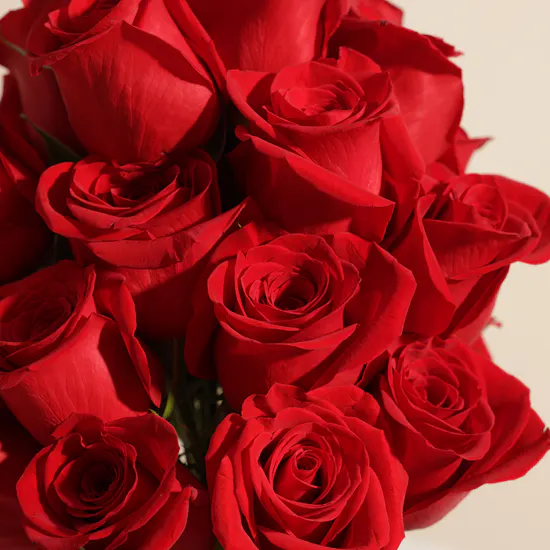 Crimson Love Red Roses Vase
