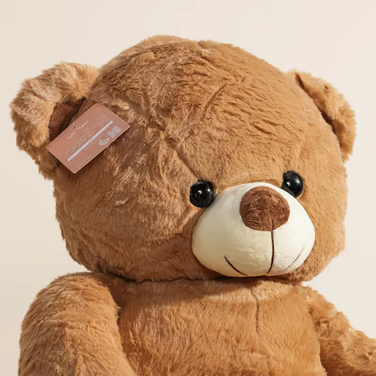Floward Medium Teddy Bear | 80 cm