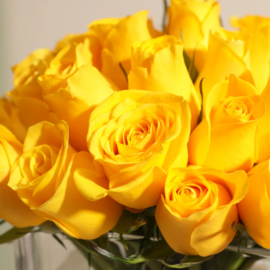 Golden Harmony Vase | 35 Roses 4
