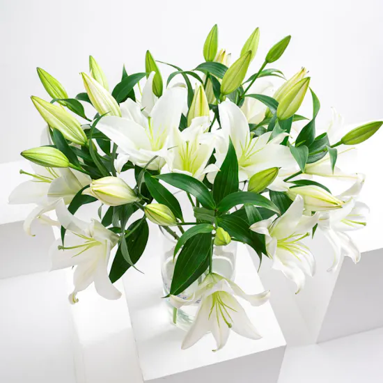 White Lilies | Cylinder Vase
