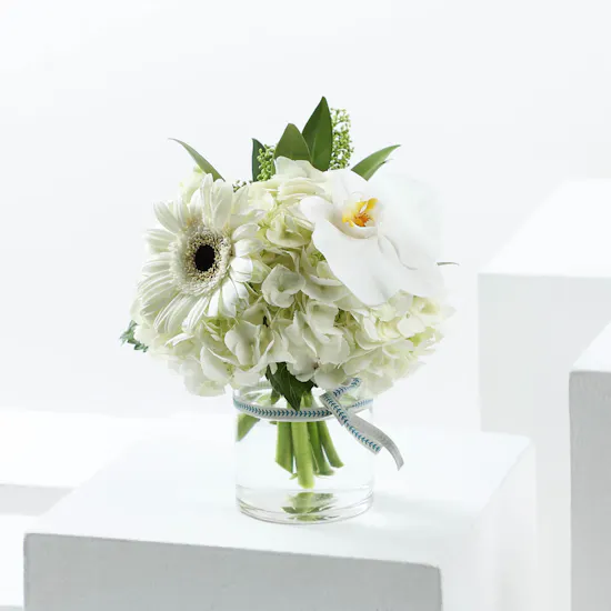 Pristine Elegance Medley