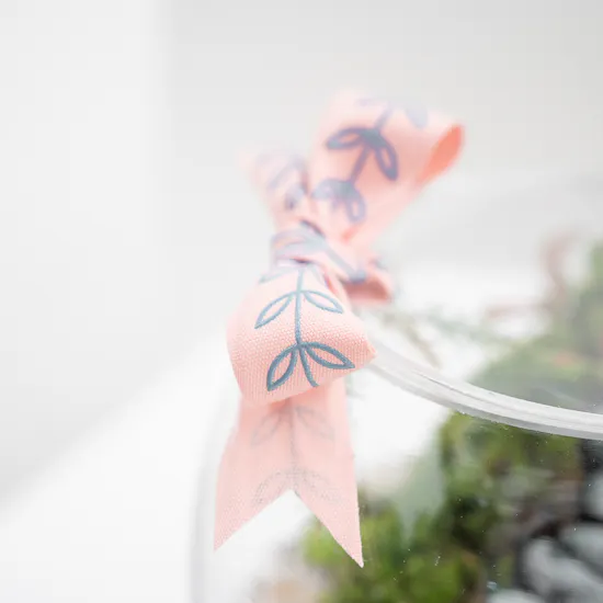 Refreshing Tropical Garden | Closed Terrarium