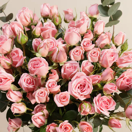 Charming Pink Baby Rose Vase