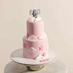 December Cake Elephant Two-Tier Pink Birthday Cake