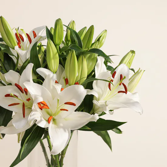 Forever White Lily Love Vase