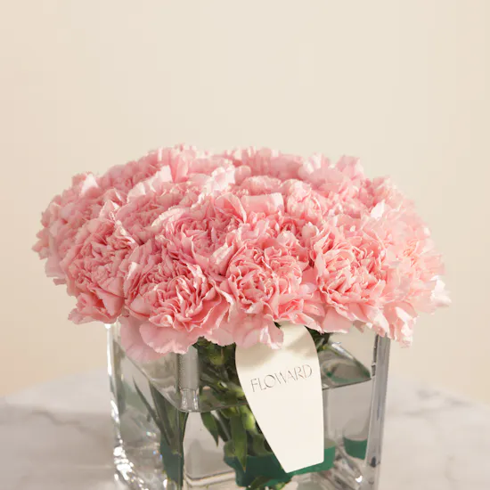 Music Home 3 Classes for 45 Minutes Voucher | Melody of Life Flowers Vase