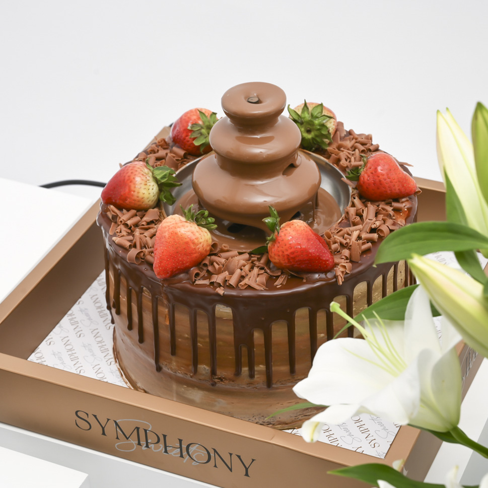 symphony chocolate cake｜TikTok Search