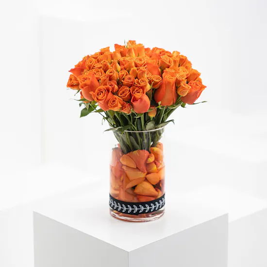 Vibes Of Orange | Baby Roses