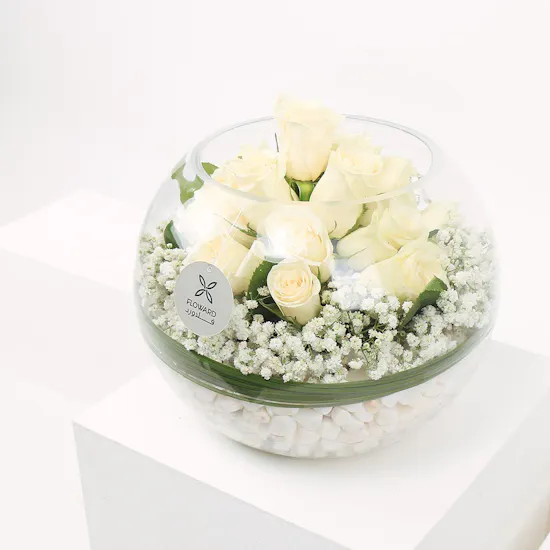 White Circle | Glass Vase