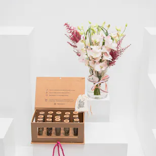 Feel Good Tea Original Discovery Box | Soft Blooms Vase Feel Good Tea Original Discovery Box | Soft Blooms Vase
