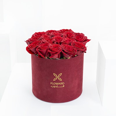 Velvet Box | 20 Red Roses