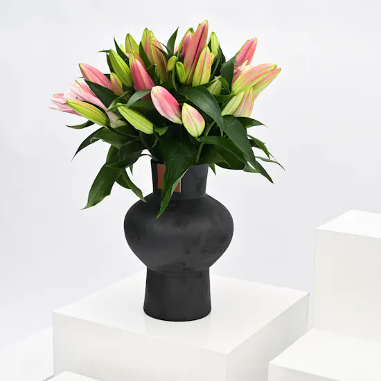 Pink Lilies | Black Vase