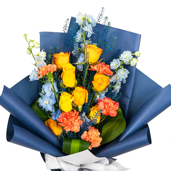 Radiant Success | Blue Wrap