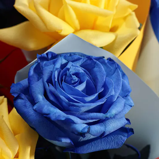 Back to School Flower Bouquet Favors