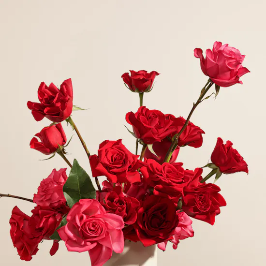 Red and Fuchsia Roses Box