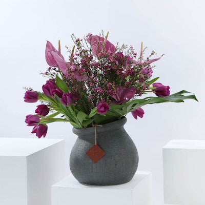 Bibi's Purple Jar | 20 Flower