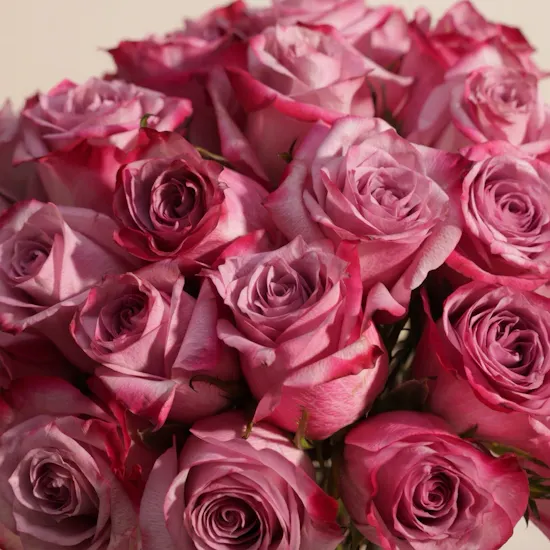 Purple Roses Vase | 35 Flowers