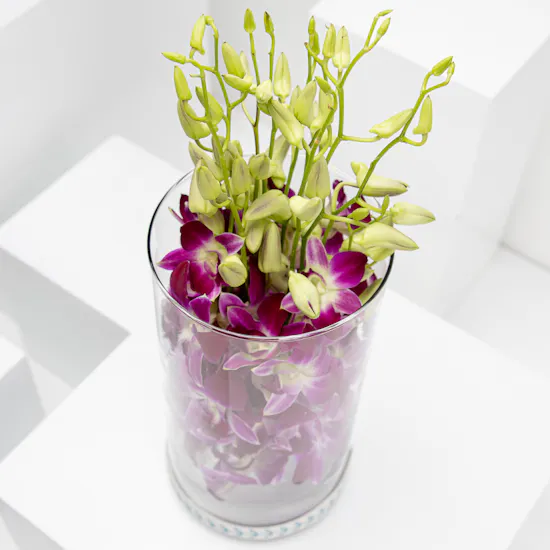 Baby Orchid Vase