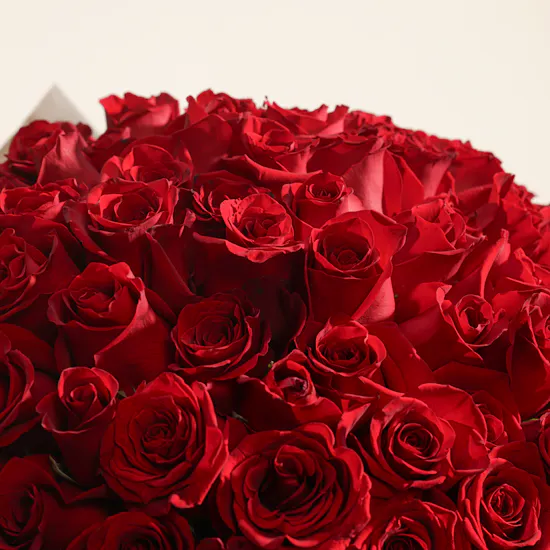 The 100 Red Rose Showstopper Bouquet
