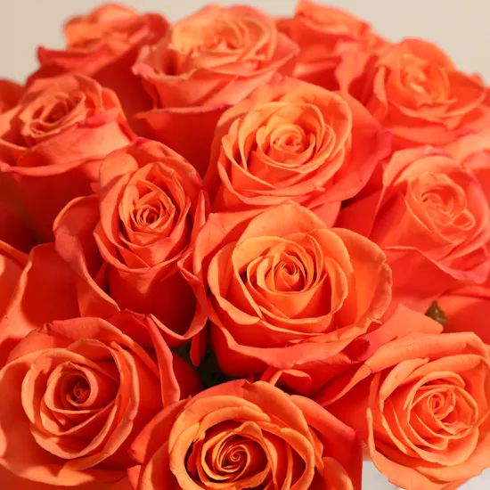 Sunny Orange Roses Vase | 25 Roses