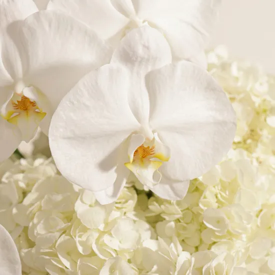 Elegant White Flowers Box