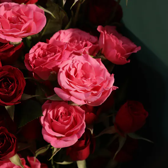 Soft Enchantment Flower Bouquet | 15 Flowers