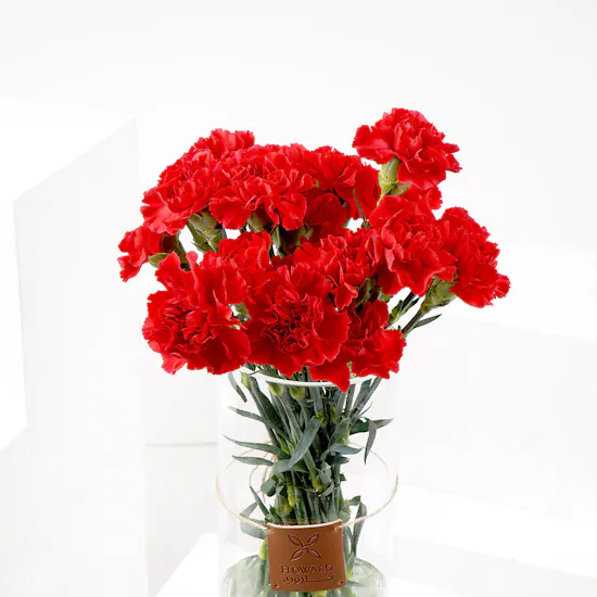 25 Red Carnations | Vase