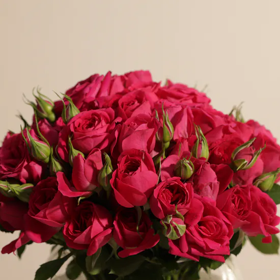 Fuchsia Baby Roses Vase | 18 Flowers