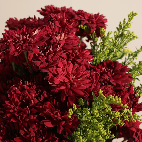 Ruby Charm Flower Vase