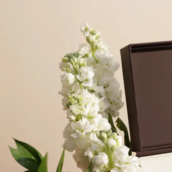 Santa Marin Silver Men's Watch | Chic Flower Box
