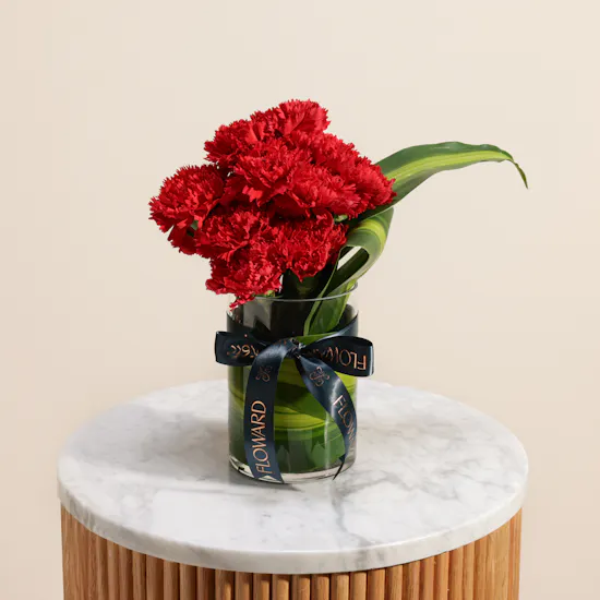 Astounding Red Carnation Vase