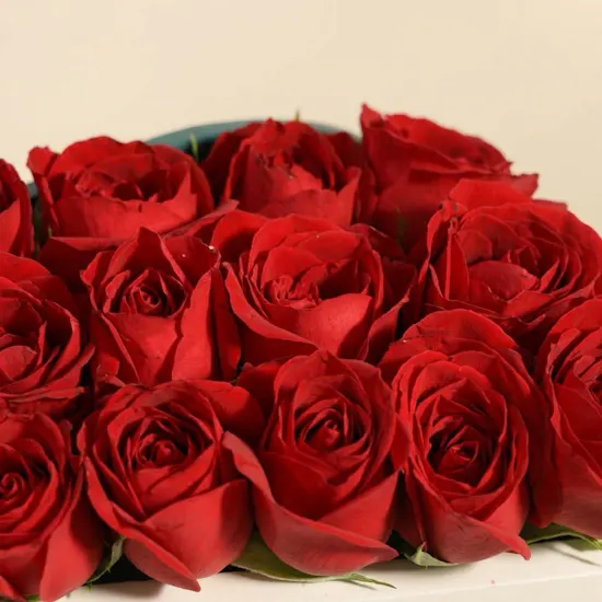 ظرف جوري الحب الأحمر