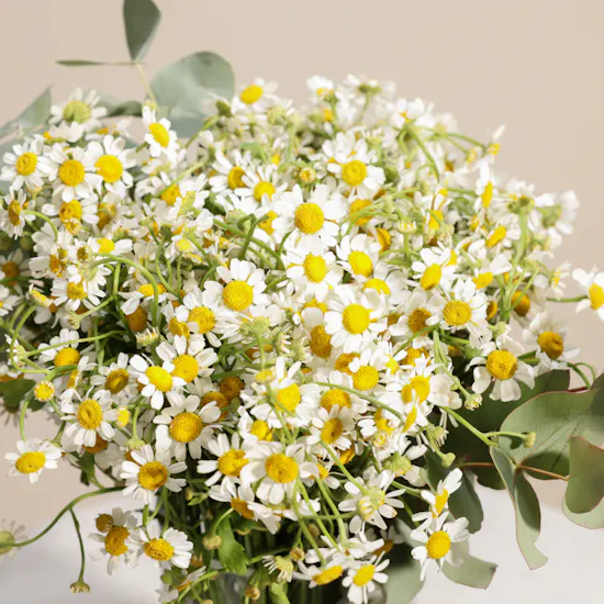 Patchi Chocolate Tray | Color Spell Flowers Vase