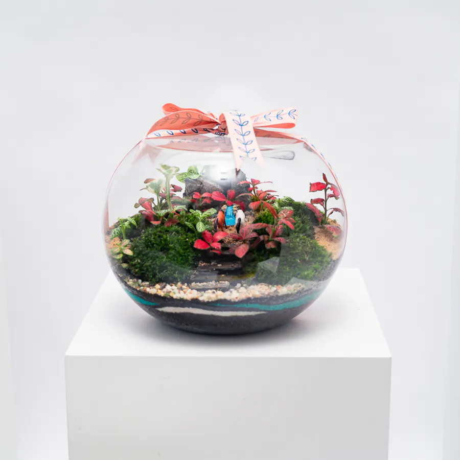 Little Green Forest | Closed Terrarium  6