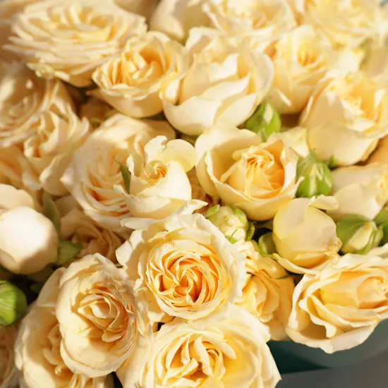 Peach Baby Rose Bouquet | 25 Flowers