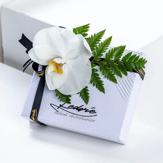 Ledore Gift Small Box | Orchid White