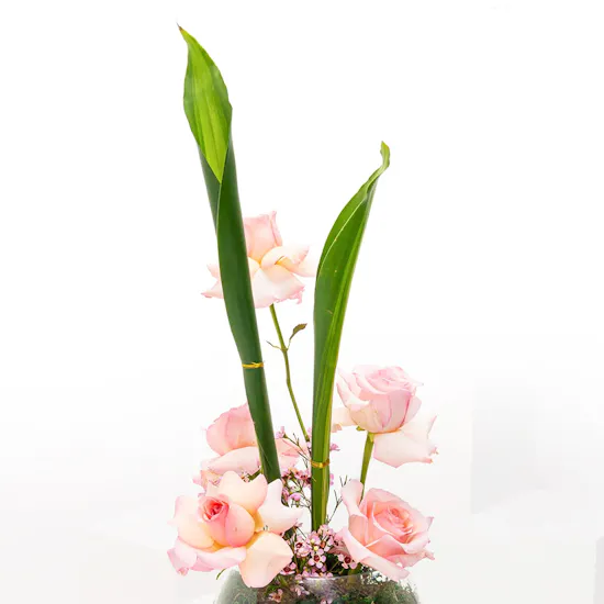 Rose light pink vase