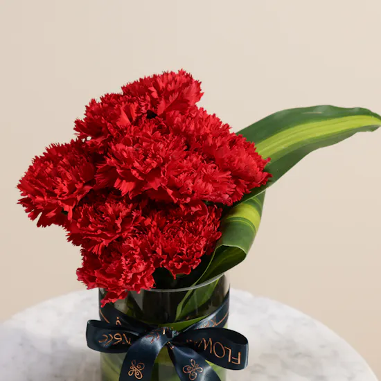 Astounding Red Carnation Vase