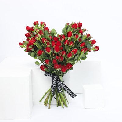 Heart Shaped | Red Roses