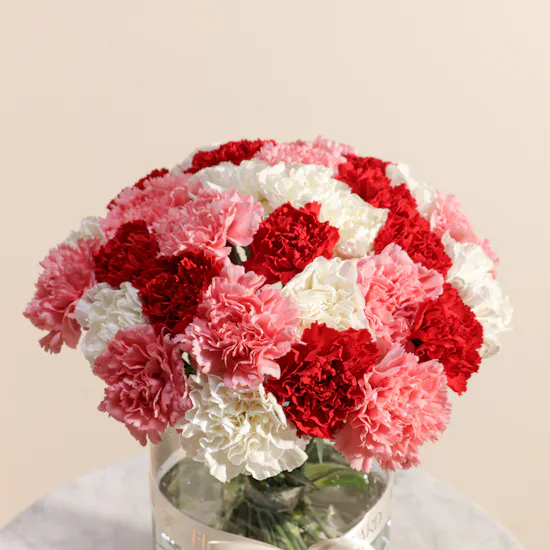 Colorful Carnation Vase