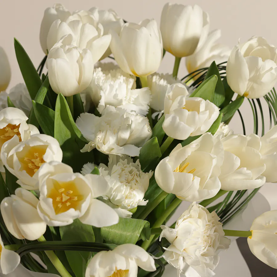 Lovely White Tulips 3