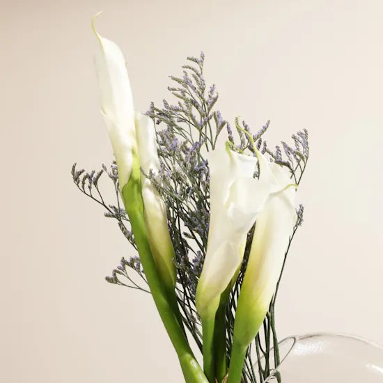 Calla White Vase