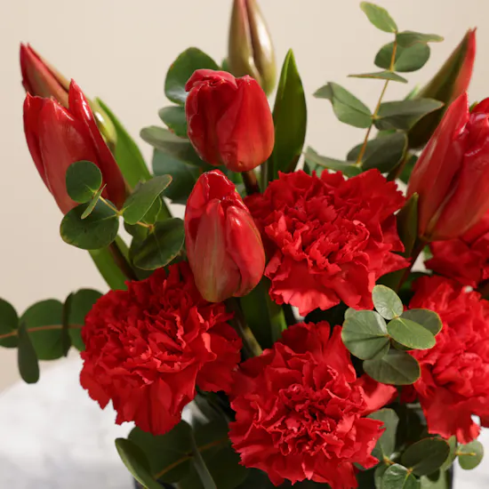 Red Radiance Flower Vase