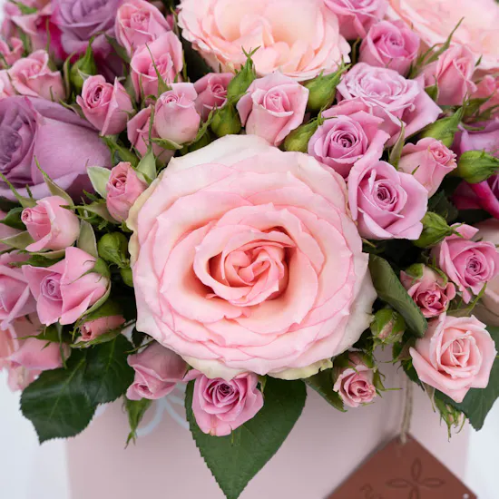 Sweet Sentiments | Floral Purple & Pink Box