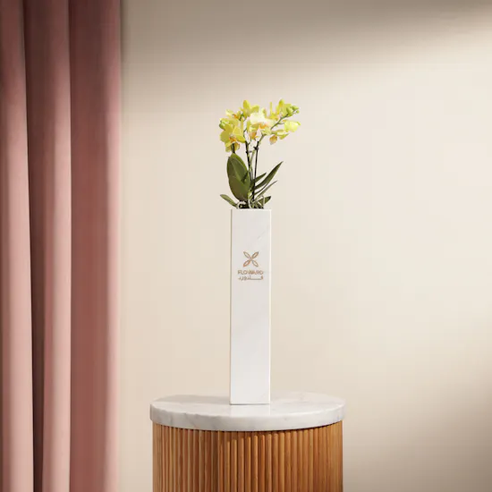 Shinny Yellow Orchid Plant Vase