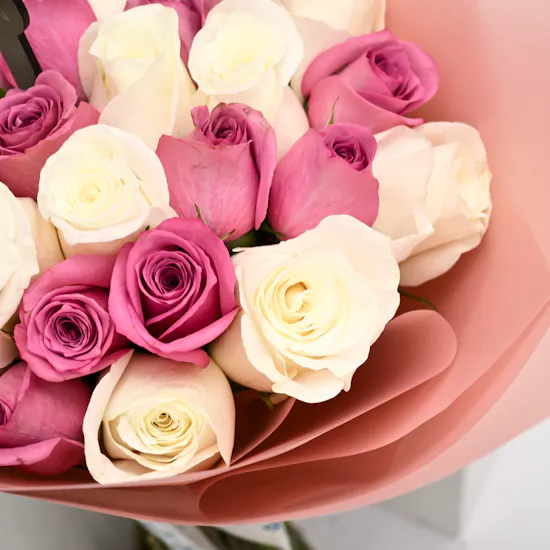 White and Purple Roses | Congratulations