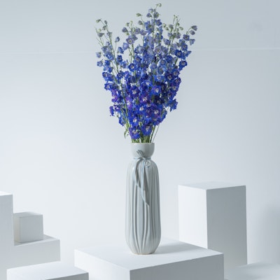 10 Blue Delphinium | Vase