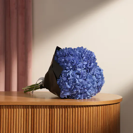 Blue Hydrangea | Black Wrapping