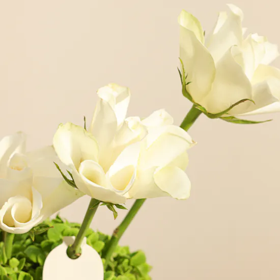 Wrth Salwa Palace Flowers Vase